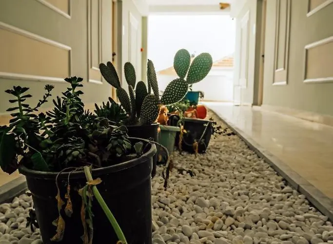 Motel para Casais Marin Yalikavak 3*