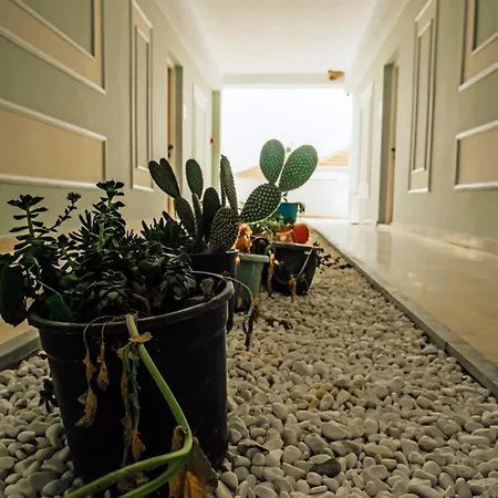 Romantiskt hotell Marin Yalikavak 3*