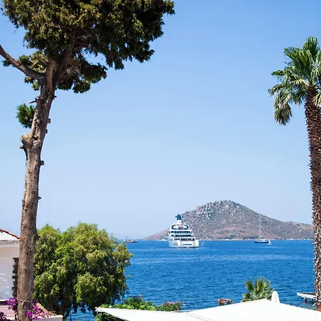 Marin Yalikavak Romantiskt hotell 3*